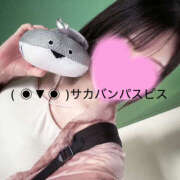 ヒメ日記 2025/08/28 19:17 投稿 かぐや 土浦ハッピーマットパラダイス