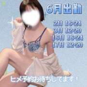 かぐや 6月出勤予定🩵 土浦ハッピーマットパラダイス