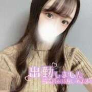 ヒメ日記 2025/06/27 12:08 投稿 すみれ・元アイドル Platinum Legend(プラチナムレジェンド)