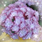 ヒメ日記 2025/04/30 18:07 投稿 矢部(人妻) 越後屋池袋総本店