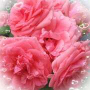 ヒメ日記 2025/05/29 20:37 投稿 矢部(人妻) 越後屋池袋総本店