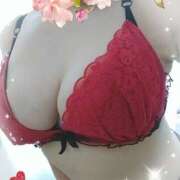 ヒメ日記 2025/06/29 08:37 投稿 矢部(人妻) 越後屋池袋総本店