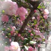 ヒメ日記 2026/03/30 23:07 投稿 矢部(人妻) 越後屋池袋総本店