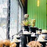 ヒメ日記 2025/03/11 12:27 投稿 一条（いちじょう）ひな バッドカンパニー(中洲)