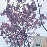 ヒメ日記 2025/03/24 08:53 投稿 一条（いちじょう）ひな バッドカンパニー(中洲)