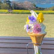 ヒメ日記 2025/04/13 15:02 投稿 一条（いちじょう）ひな バッドカンパニー(中洲)