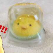 ヒメ日記 2025/04/19 10:33 投稿 一条（いちじょう）ひな バッドカンパニー(中洲)