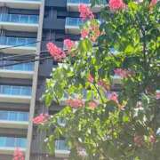 ヒメ日記 2025/05/10 10:31 投稿 一条（いちじょう）ひな バッドカンパニー(中洲)