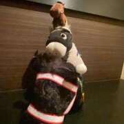 ヒメ日記 2025/09/05 10:30 投稿 一条（いちじょう）ひな バッドカンパニー(中洲)