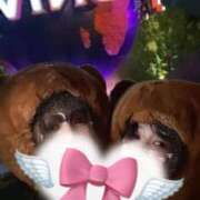 ヒメ日記 2025/09/07 16:00 投稿 一条（いちじょう）ひな バッドカンパニー(中洲)