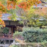 ヒメ日記 2025/11/05 16:17 投稿 一条（いちじょう）ひな バッドカンパニー(中洲)