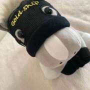 ヒメ日記 2025/12/29 10:29 投稿 一条（いちじょう）ひな バッドカンパニー(中洲)