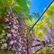 ヒメ日記 2025/05/05 15:09 投稿 さや 逢って30秒で即尺