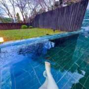 ヒメ日記 2025/11/22 19:40 投稿 さや 逢って30秒で即尺