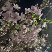 ヒメ日記 2026/03/08 21:47 投稿 さや 逢って30秒で即尺