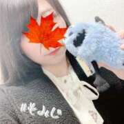 ヒメ日記 2025/11/05 21:05 投稿 もみじ 丸妻 新横浜店