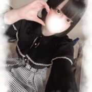 ヒメ日記 2025/09/11 00:24 投稿 うい チューリップ福井別館