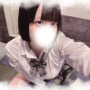 ヒメ日記 2025/09/17 08:51 投稿 うい チューリップ福井別館