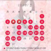 ヒメ日記 2026/02/21 07:01 投稿 ろあ ムーランルージュ