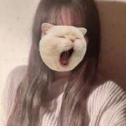 ヒメ日記 2025/03/17 00:03 投稿 ひなみ 池袋しろパラ