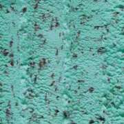 ヒメ日記 2025/06/07 14:40 投稿 ひなみ 池袋しろパラ