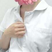 ヒメ日記 2025/07/12 14:29 投稿 すみれ 札幌しこたまクリニック