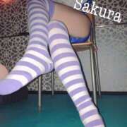 ヒメ日記 2025/06/15 00:48 投稿 さくら 那須塩原人妻花壇