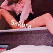 ヒメ日記 2025/06/19 12:27 投稿 さくら 那須塩原人妻花壇