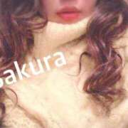 ヒメ日記 2025/09/26 09:27 投稿 さくら 那須塩原人妻花壇