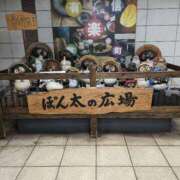 さつき こんにちは しゅうかつ倶楽部