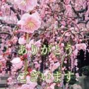 ヒメ日記 2025/04/03 11:08 投稿 なのは 熟女の風俗最終章 高崎店