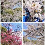 ヒメ日記 2025/04/06 09:34 投稿 なのは 熟女の風俗最終章 高崎店