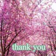 ヒメ日記 2025/04/09 03:28 投稿 なのは 熟女の風俗最終章 高崎店