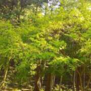 ヒメ日記 2025/04/16 15:14 投稿 なのは 熟女の風俗最終章 高崎店