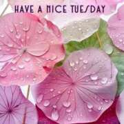 ヒメ日記 2025/06/11 10:28 投稿 なのは 熟女の風俗最終章 高崎店