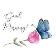 ヒメ日記 2025/06/30 08:58 投稿 なのは 熟女の風俗最終章 高崎店