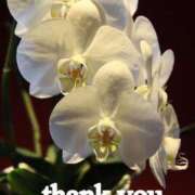 ヒメ日記 2025/07/09 03:28 投稿 なのは 熟女の風俗最終章 高崎店