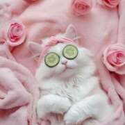 ヒメ日記 2025/07/31 16:48 投稿 なのは 熟女の風俗最終章 高崎店