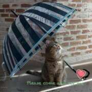 ヒメ日記 2025/09/11 05:58 投稿 なのは 熟女の風俗最終章 高崎店