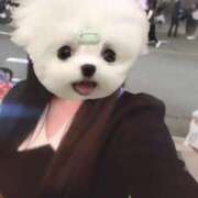 ヒメ日記 2025/05/20 15:35 投稿 まいか The White