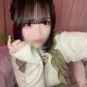 ヒメ日記 2025/07/12 02:25 投稿 まいか The White