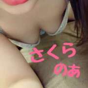 ヒメ日記 2025/05/03 11:20 投稿 のあ 奥様さくら日本橋店