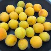 ヒメ日記 2025/06/22 11:39 投稿 のあ 奥様さくら日本橋店