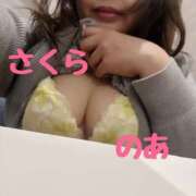 ヒメ日記 2026/04/22 20:32 投稿 のあ 奥様さくら日本橋店