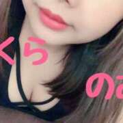 ヒメ日記 2025/04/01 23:26 投稿 のあ club さくら日本橋店