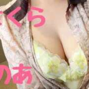 ヒメ日記 2025/12/02 21:07 投稿 のあ club さくら日本橋店