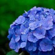 ヒメ日記 2025/06/03 14:19 投稿 あさみ 熟女デリヘル倶楽部