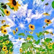 ヒメ日記 2025/06/26 20:18 投稿 あさみ 熟女デリヘル倶楽部