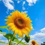 ヒメ日記 2025/08/25 08:36 投稿 あさみ 熟女デリヘル倶楽部