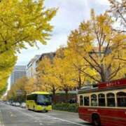 ヒメ日記 2025/11/23 13:04 投稿 あさみ 熟女デリヘル倶楽部